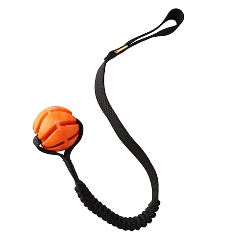 Dingo Spielzeug mit Bäll # 6 cm Griff Bungee 65 cm Hundespielzeug Spielen mit Hund Training Apporte 15675 Dingo Spielzeug mit Bäll # 6 cm Griff Bungee 65 cm Hundespielzeug Spielen mit Hund Training Apporte 15675 von Dingo Waldemar Rutkowski