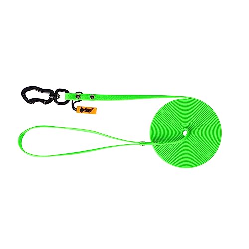 Dingo Trainingsleine für Hunde Wabenförmige Struktur Hundespaziergang Gehorsamstraining Fährtentraining Karabinerhaken Breite 1,0 cm Länge 3 m mit Griff Grün 10159 Dingo Trainingsleine für Hunde Wabenförmige Struktur Hundespaziergang Gehorsamstraining Fährtentraining Karabinerhaken Breite 1,0 cm Länge 3 m mit Griff Grün 10159 von Dingo Waldemar Rutkowski