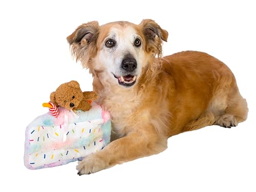 Dingo Waldemar Rutkowski Plüschspielzeug Torte mit Bär und Geburtstagshut, mit Quietscher im Inneren, weich und leicht, für interaktives Spielen mit dem Hund (Z30045) von Dingo Waldemar Rutkowski