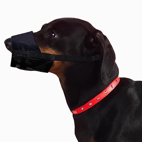 Dingo Weiches Nylon Maulkorb mit atmungsaktivem Netz für kleine Rassen, Welpen, Jack Russel Terier Dackel Verstellbarer Halsgurt, Schwarz 16773-2 Dingo Weiches Nylon Maulkorb mit atmungsaktivem Netz für kleine Rassen, Welpen, Jack Russel Terier Dackel Verstellbarer Halsgurt, Schwarz 16773-2 von Dingo Waldemar Rutkowski