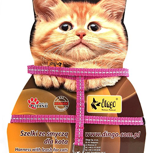 Dingo Reflektierendes Hundegeschirr mit Leine für Katzensicherheit, aus Stoff, Rosa 21600 Dingo Reflektierendes Hundegeschirr mit Leine für Katzensicherheit, aus Stoff, Rosa 21600 von Dingo Waldemar Rutkowski