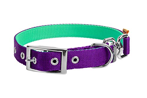 Dingo 14250 Hundehalsband, zweiseitig, Violett oder Mint, 2 Halsbänder in 1, wendbar Dingo 14250 Hundehalsband, zweiseitig, Violett oder Mint, 2 Halsbänder in 1, wendbar von Dingo Waldemar Rutkowski