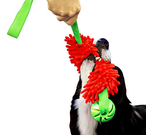 Dingo Mop Bungee Rot Mikrofaser mit Vanille Duft Ball Hundespielzeug Agility Apporte zum Spielen Tauziehen Beweglichkeit Wassertraining 15588-2 Dingo Mop Bungee Rot Mikrofaser mit Vanille Duft Ball Hundespielzeug Agility Apporte zum Spielen Tauziehen Beweglichkeit Wassertraining 15588-2 von Dingo Waldemar Rutkowski