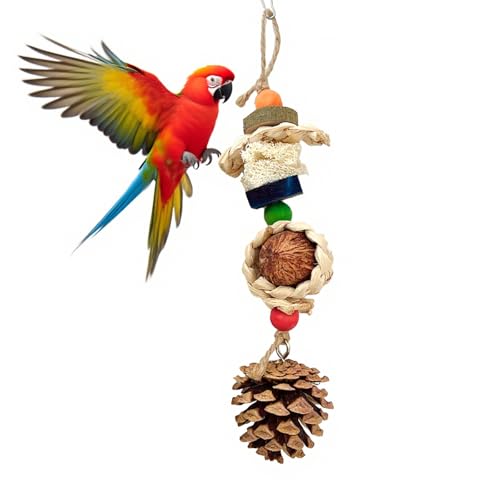 Vogelspielzeug, Papageienspielzeug mit natürlichen Tannenzapfen, Nüssen, Maisschalen und Luffas, Vogelkauspielzeug für Sittiche, Nymphensittiche, Sittiche, Sittiche, Sittiche, Sittiche, Sittiche Vogelspielzeug, Papageienspielzeug mit natürlichen Tannenzapfen, Nüssen, Maisschalen und Luffas, Vogelkauspielzeug für Sittiche, Nymphensittiche, Sittiche, Sittiche, Sittiche, Sittiche, Sittiche von Dinhala