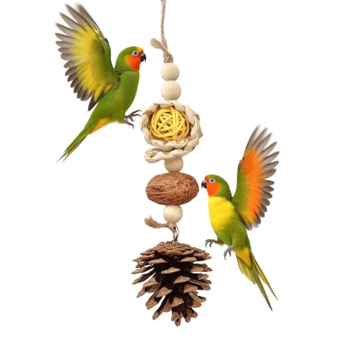 Vogelspielzeug, Papageienspielzeug mit natürlichen Tannenzapfen, Nüssen, Maisschalen und Luffas, Vogelkauspielzeug für Sittiche, Nymphensittiche, Sittiche, Sittiche, Sittiche, Sittiche, Sittiche Vogelspielzeug, Papageienspielzeug mit natürlichen Tannenzapfen, Nüssen, Maisschalen und Luffas, Vogelkauspielzeug für Sittiche, Nymphensittiche, Sittiche, Sittiche, Sittiche, Sittiche, Sittiche von Dinhala