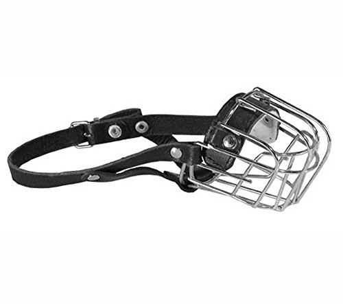 Dino Bigioni Metall Maulkorb für den großen Pudel Länge 6cm Umfang 18cm Dino Bigioni Metall Maulkorb für den großen Pudel Länge 6cm Umfang 18cm von Dino Bigioni