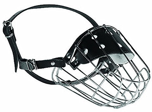Dino Bigioni Metall Maulkorb für die Dogge Länge 14cm Umfang 43cm Dino Bigioni Metall Maulkorb für die Dogge Länge 14cm Umfang 43cm von Dino Bigioni
