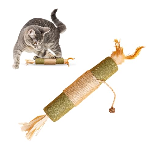 Dinosatoy Katzenspielzeug Dinosatoy Katzenspielzeug von Dinosatoy