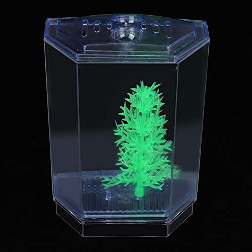 Dioche Mini -Aquarium -Fischtank mit Transparentem Acryldesign für Wasseranlagen Zuchtbox und Brüterei, Einfacher Kompartiment Mini Fischtank mit Luftzirkulation (Einzelnes Gitter) von Dioche