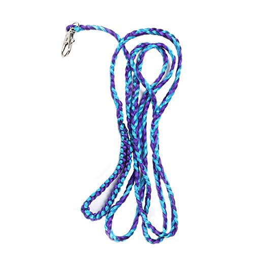 Dioche Verstellbarer Kleiner Haustierkabelbaum und Leinen -Set für Hamster, Meerschweinchen und Eichhörnchen? Weiches Nylon mit Glockendesign für Gehen Im Freien in Blau & Lila (Blauer und violetter von Dioche