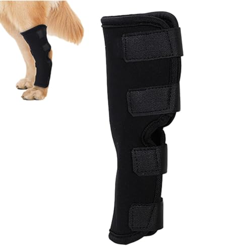 Dirfuny Hunde-Beinbandage, bequem, elastisch, verstellbar, verhindert Lecken, schützende Hunde-Beinbandage gegen Lecken, alle Jahreszeiten für Hinterbeine, Wunden, Bandagen Dirfuny Hunde-Beinbandage, bequem, elastisch, verstellbar, verhindert Lecken, schützende Hunde-Beinbandage gegen Lecken, alle Jahreszeiten für Hinterbeine, Wunden, Bandagen von Dirfuny