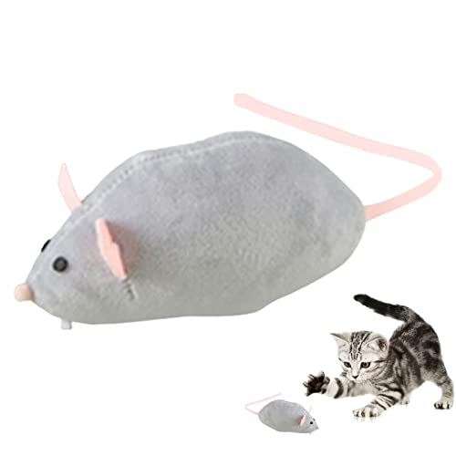 Katzen-Maus-Spielzeug – Katzen-Mäuse-Spielzeug für Indoor-Katzen | interaktives Spielzeug für Katzen und Kätzchen, Katzen-Teaser-Spielzeug lindert Langeweile, lindert Katzen Katzen-Maus-Spielzeug – Katzen-Mäuse-Spielzeug für Indoor-Katzen | interaktives Spielzeug für Katzen und Kätzchen, Katzen-Teaser-Spielzeug lindert Langeweile, lindert Katzen von Dirfuny