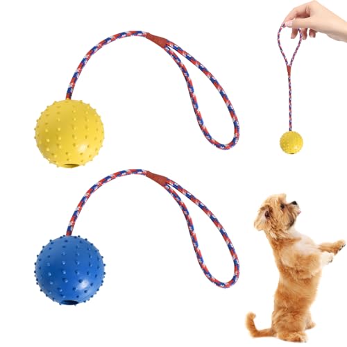 Naturgummiball Mit Seil Hundespielzeug - Gelb & Blau, Empfindliche Farben Für Hunde, Welpenspielzeug, Wurfball, Ball Mit Schnur, Haustier Ball (ø 5 X 30) von Disnace