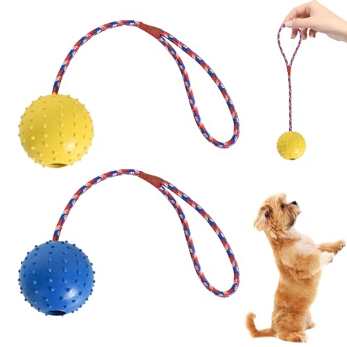 Naturgummiball Seil,Ball Mit Seil Hundespielzeug-Gelb & Blau - Empfindliche Farben Für Hunde,Ball Mit Seil Welpe,Wurfball Hund,Ball Mit Schnur Hund,Welpenspielzeug Hund,Haustier Ball (ø 6 X 30) von Disnace
