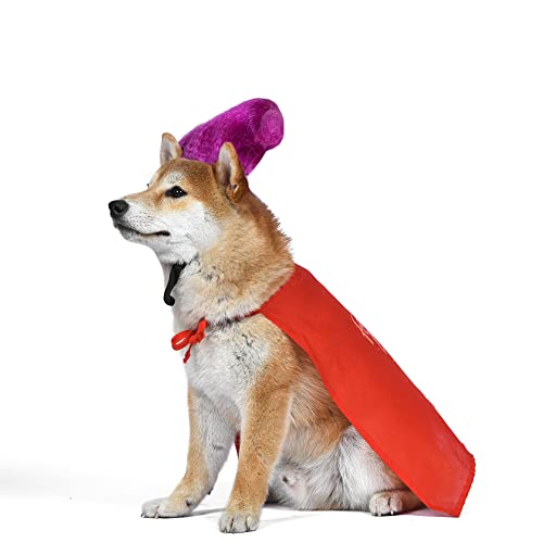 Disney for Pets Hocus Pocus Mary Sanderson Hundekostüm Groß | Halloween Kostüme für Hunde, Hundehexenkostüm Offizielles Hundeprodukt von Disney für Haustiere von Disney for Pets