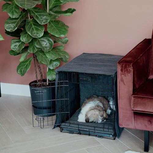 District 70 CRATE Cover - Stijlvolle Benchhoes - Canvas & Katoen - Verkrijgbaar in 5 maten - Donkergrijs & Zand - Maat: S - 64 x 48 x52 cm, Kleur: Donkergrijs District 70 CRATE Cover - Stijlvolle Benchhoes - Canvas & Katoen - Verkrijgbaar in 5 maten - Donkergrijs & Zand - Maat: S - 64 x 48 x52 cm, Kleur: Donkergrijs von District 70