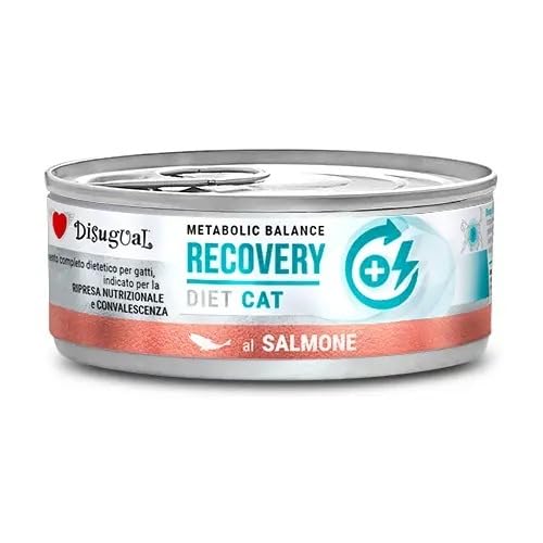 Diät-Diät-Katze, Recovery Lachs, 12 x 85 g von Disugual Toy