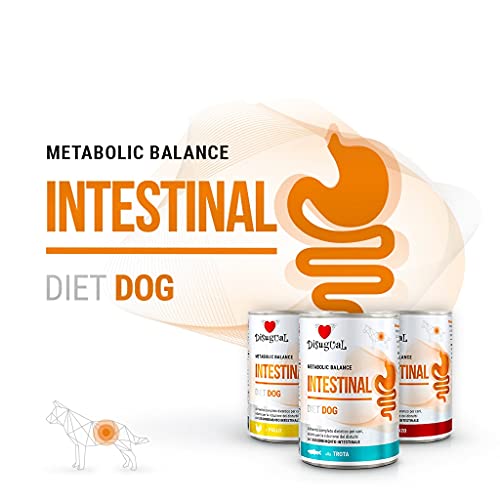 Disugual Diet Metabolic Balance Intestinal Hundetroste, 6 x 400 g von Disugual