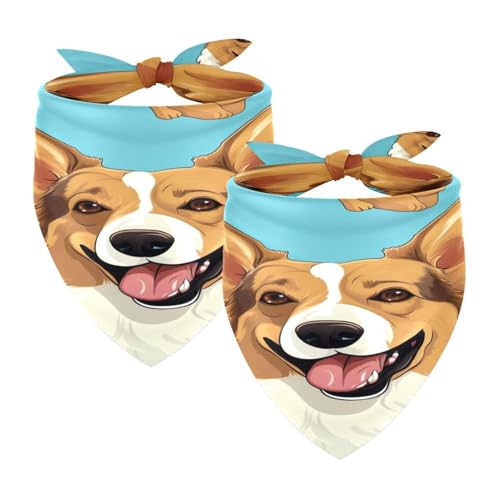 Hundehalstuch, waschbar, Dreieckstuch, Halstuch, Halstuch, Zubehör für kleine, mittelgroße und große Mädchen, Jungen, Welpen, Katzen, Corgi-Hunde, 2 Stück Hundehalstuch, waschbar, Dreieckstuch, Halstuch, Halstuch, Zubehör für kleine, mittelgroße und große Mädchen, Jungen, Welpen, Katzen, Corgi-Hunde, 2 Stück von Diusye