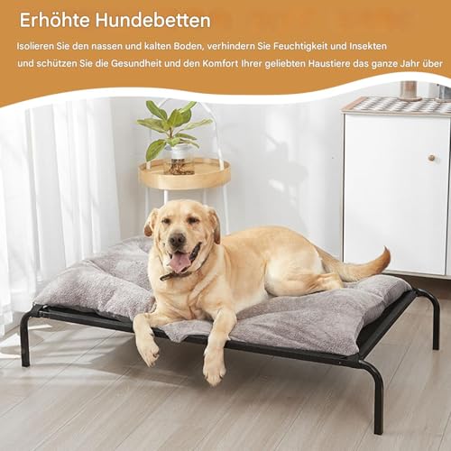 Diuyzoc Hundebett Erhöht, Atembares Robustes Haustierbett, Outdoor Katzenbett Für Tag Nacht Kleine Mittel Hunde Camping Reisen Garten Terrasse Und Hof Diuyzoc Hundebett Erhöht, Atembares Robustes Haustierbett, Outdoor Katzenbett Für Tag Nacht Kleine Mittel Hunde Camping Reisen Garten Terrasse Und Hof von Diuyzoc