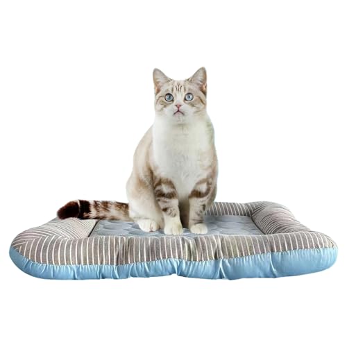 Diuyzoc -Seide Kühlmatte Für Katzen - Seide Waschbar Kühl Unterlage,Robuste Schlafunterlage Mit Kühlfunktion Für Hunde Mittlerer Größe Katzen Kaninchen Kleintiere Diuyzoc -Seide Kühlmatte Für Katzen - Seide Waschbar Kühl Unterlage,Robuste Schlafunterlage Mit Kühlfunktion Für Hunde Mittlerer Größe Katzen Kaninchen Kleintiere von Diuyzoc