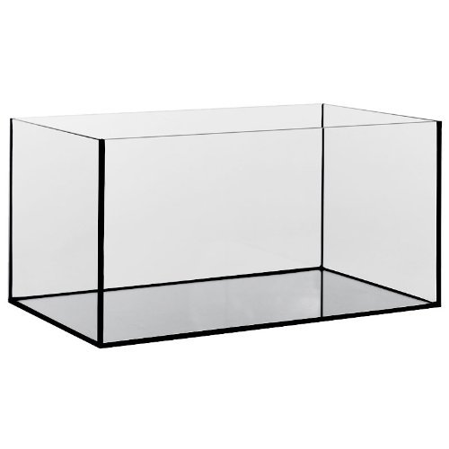 Aquarium Glasbecken 30x20x20 cm, 3 mm, rechteck, 12 Liter Becken von Diversa