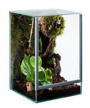 Glas Terrarium Glasterrarium 15x15x20 15 20 Falltür von Diversa