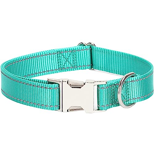 Reflektierendes Hundehalsband mit Metallschnalle, weich, atmungsaktiv, verstellbar, Nylon, Haustierhalsband, verstellbar für kleine, mittelgroße und große Hunde (Grasgrün, Größe S: 1,5 x 40 cm) von Dixacyer