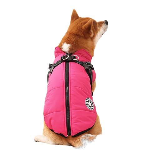 Wasserdichter Winter-Hundemantel für kleine Hunde – winddichte, isolierte, warme Jacke mit verstellbarem Geschirr, reflektierenden Streifen für Sicherheit, mit Fleece gefütterte Kaltwetterweste (Rosa, Wasserdichter Winter-Hundemantel für kleine Hunde – winddichte, isolierte, warme Jacke mit verstellbarem Geschirr, reflektierenden Streifen für Sicherheit, mit Fleece gefütterte Kaltwetterweste (Rosa, von Dixacyer