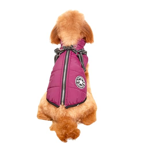 Wasserdichter Winter-Hundemantel für kleine Hunde – winddichte, isolierte, warme Jacke mit verstellbarem Geschirr, reflektierenden Streifen für Sicherheit, mit Fleece gefütterte Weste für kaltes Wasserdichter Winter-Hundemantel für kleine Hunde – winddichte, isolierte, warme Jacke mit verstellbarem Geschirr, reflektierenden Streifen für Sicherheit, mit Fleece gefütterte Weste für kaltes von Dixacyer