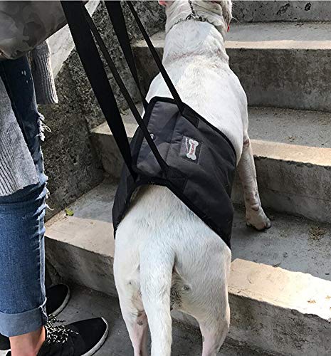 Diyafas Hundelift Harness Tragehilfe Hebehilfe Rehabilitation Geschirr mit Griff für Hunde Verletzungen und Arthritis von Diyafas