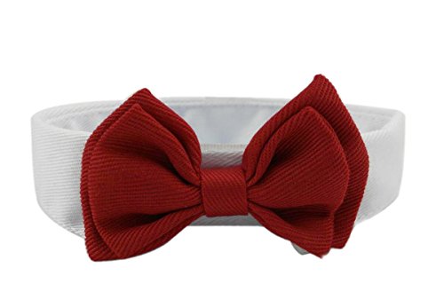 Diyafas 2 x Haustier Hunde Katzen Welpen Krawatte Einstellbar Baumwolle Kragen Rote Fliege Formale Bowknot Halsketten von Diyafas