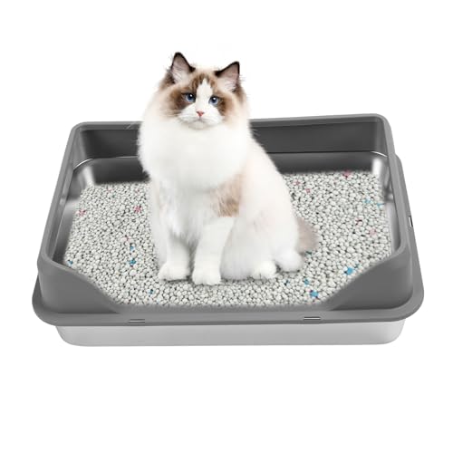Diyeeni Katzentoilette aus Edelstahl, 23,62 X 15,75 X 3,94 Zoll, Mittelgroße Katzentoilette, Leicht zu Reinigen, Nimmt Keine Gerüche auf, Antihaftbeschichtete Metalltoilette, kein Diyeeni Katzentoilette aus Edelstahl, 23,62 X 15,75 X 3,94 Zoll, Mittelgroße Katzentoilette, Leicht zu Reinigen, Nimmt Keine Gerüche auf, Antihaftbeschichtete Metalltoilette, kein von Diyeeni