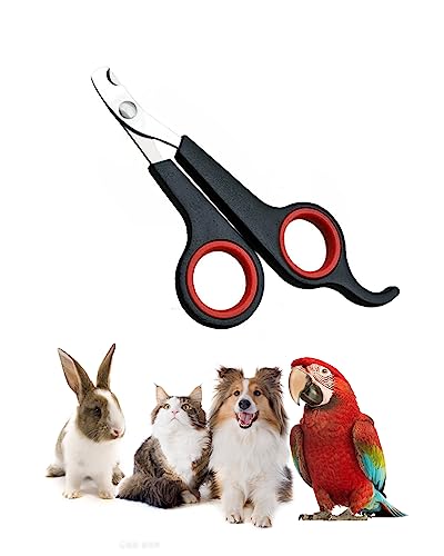 Diyfixlcd 2 x Haustier-Nagelknipser für kleine Tiere, bester Katzennagelknipser, Katzennagelschneider, Katzenknipser, 11,7 x 6,1 x 0,6 cm, für Nägel für Katzen, Meerschweinchen, Welpen, Kaninchen, Diyfixlcd 2 x Haustier-Nagelknipser für kleine Tiere, bester Katzennagelknipser, Katzennagelschneider, Katzenknipser, 11,7 x 6,1 x 0,6 cm, für Nägel für Katzen, Meerschweinchen, Welpen, Kaninchen, von diyfixlcd