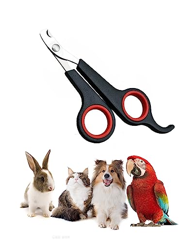 Diyfixlcd 2 x Haustier-Nagelknipser für kleine Tiere, bester Katzennagelknipser, Katzennagelschneider, Katzenknipser, 11,7 x 6,1 x 0,6 cm, für Nägel für Katzen, Meerschweinchen, Welpen, Kaninchen, von Diyfixlcd