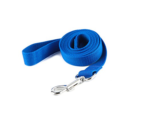Hundeleine, robust, langlebig, Nylon, 4,6 m, für mittelgroße und große Hunde, 2,5 cm breit, Blau von Diyfixlcd