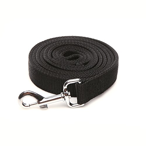 Robuste Hundeleine aus Nylon, 2-lagig, 1,8 m lang, 2,5 cm breit, für mittelgroße und große Hunde Robuste Hundeleine aus Nylon, 2-lagig, 1,8 m lang, 2,5 cm breit, für mittelgroße und große Hunde von diyfixlcd
