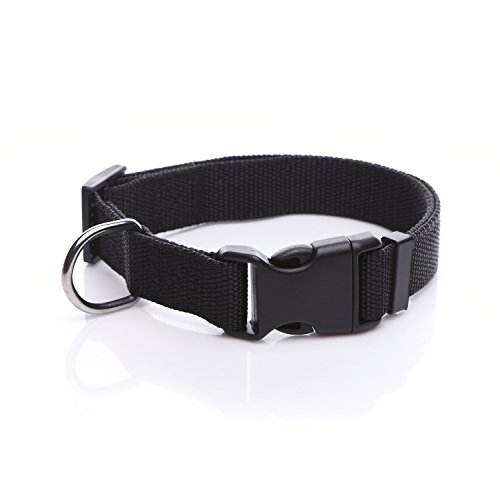 Verstellbares Nylon-Hundehalsband, langlebiges Haustierhalsband, 2,5 cm, 1,9 cm, 1,6 cm breit, für große, mittelgroße und kleine Hunde, Schwarz, Größe L (2,5 x 40,6–58,4 cm) von diyfixlcd