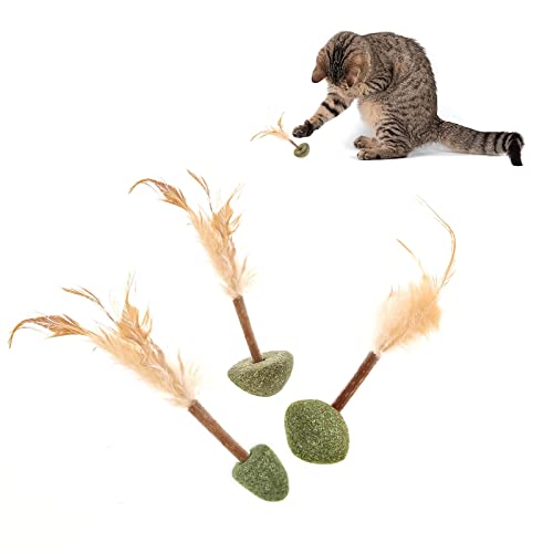 Diyxisk 3 Stück Katzenspielzeug, Katzenminze-Spielzeug für Katzen Interaktive Katzenminze-Bälle mit Stäbchen und Federn zum Zähneputzen, Katzenspielzeug für Katzen, Kätzchen Diyxisk 3 Stück Katzenspielzeug, Katzenminze-Spielzeug für Katzen Interaktive Katzenminze-Bälle mit Stäbchen und Federn zum Zähneputzen, Katzenspielzeug für Katzen, Kätzchen von Diyxisk