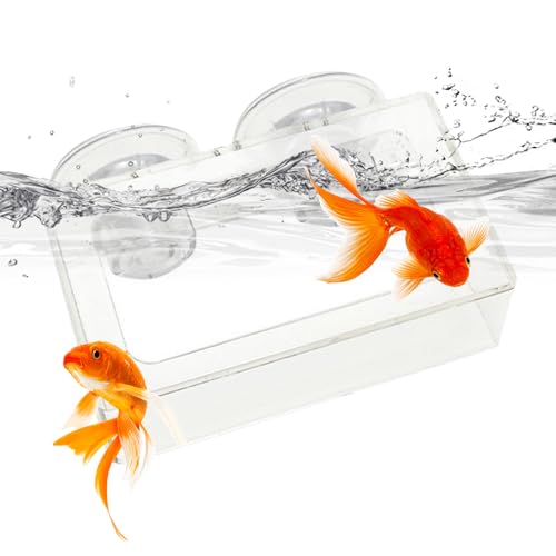 Djowyh Fischtank -Fütterungsschüssel, Fischfuttertablett, Slip Shrimp Feeder mit Saugnapfbecher, Drehen Sie langsame Vorschubplatten, Acryl -Lebensmittelhalter für Aquarium Djowyh Fischtank -Fütterungsschüssel, Fischfuttertablett, Slip Shrimp Feeder mit Saugnapfbecher, Drehen Sie langsame Vorschubplatten, Acryl -Lebensmittelhalter für Aquarium von Djowyh