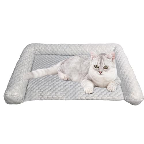 Djowyh Hundebett mit Kühleffekt | Kühlmatte für Hunde - Tragbares Kühlkissen Für Haus Reise Camping Haustiere Djowyh Hundebett mit Kühleffekt | Kühlmatte für Hunde - Tragbares Kühlkissen Für Haus Reise Camping Haustiere von Djowyh