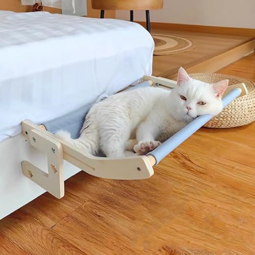 Dlmlemu Katzenbett zum Aufhängen, Katzenfensterbett, Katzenfensterstange, hängendes Katzenbett hält bis zu 20 kg, Indoor-Katzenhängematte für Sofa, Fensterbank, geeignete Katzen, Blau Dlmlemu Katzenbett zum Aufhängen, Katzenfensterbett, Katzenfensterstange, hängendes Katzenbett hält bis zu 20 kg, Indoor-Katzenhängematte für Sofa, Fensterbank, geeignete Katzen, Blau von Dlmlemu