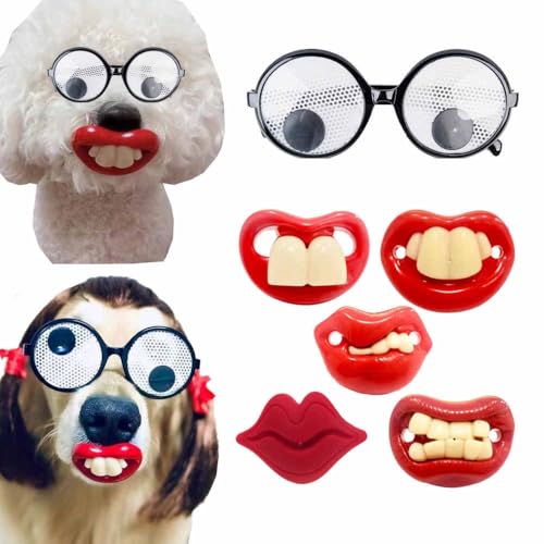 Hund Schnuller Brille Haustier Kostüm Requisiten, Hundehaarzubehör, Haustier Kostüm Hund Rollenspiel Schnuller, Lindert Haustierstimmung, Lustige Hundebrille, Haustier Rollenspiel Dekoration für Hund Schnuller Brille Haustier Kostüm Requisiten, Hundehaarzubehör, Haustier Kostüm Hund Rollenspiel Schnuller, Lindert Haustierstimmung, Lustige Hundebrille, Haustier Rollenspiel Dekoration für von Dlmlemu