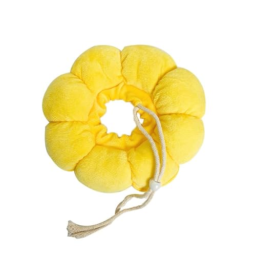 DmDoyy Halskrause Katze, Einstellbarer Katzen Halskrause, Weich Sonnenblume Katze Wiederherstellung Halsband Kragen Cone für Kleine Hunde und Katzen DmDoyy Halskrause Katze, Einstellbarer Katzen Halskrause, Weich Sonnenblume Katze Wiederherstellung Halsband Kragen Cone für Kleine Hunde und Katzen von DmDoyy