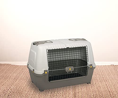 Dmora - Hunde- oder Katzentransportbox Gistel, starre Transportbox, tragbarer Käfig mit Matte, 100 % Made in Italy, Beige und Braun, 76 x 45 x 54 cm Dmora - Hunde- oder Katzentransportbox Gistel, starre Transportbox, tragbarer Käfig mit Matte, 100 % Made in Italy, Beige und Braun, 76 x 45 x 54 cm von Dmora