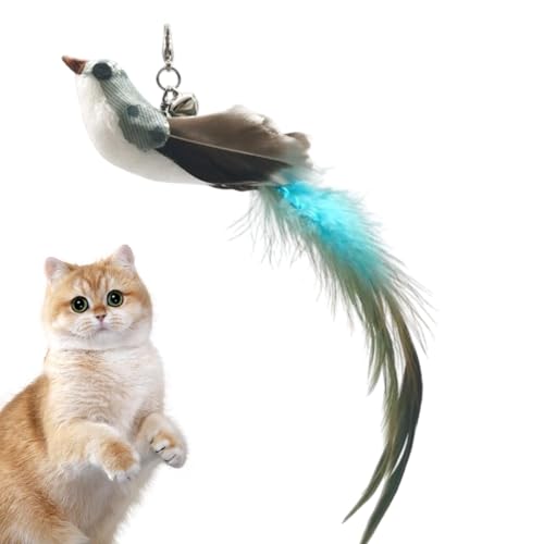 Dmuzsoih 29 x 3 cm Feder-Vogel-Katzenspielzeug, Katzenfeder-Übungsspielzeug, Feder-Nachfüllungen für Katzen-Zauberstab-Spielzeug, interaktives Feder-Katzenvögel-Spielzeug, realistische Simulation, Dmuzsoih 29 x 3 cm Feder-Vogel-Katzenspielzeug, Katzenfeder-Übungsspielzeug, Feder-Nachfüllungen für Katzen-Zauberstab-Spielzeug, interaktives Feder-Katzenvögel-Spielzeug, realistische Simulation, von Dmuzsoih