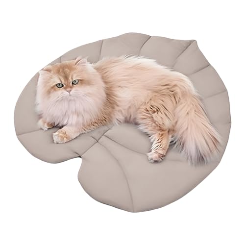 Dmuzsoih Couch-Pads für Hunde – Blätterförmige Sofamatratze, weiche, gemütliche Polsterung, Matratzenschoner für Bett, Sofa, Boden, Stuhl, Innenbereich, Reisen, Auto, Welpen Dmuzsoih Couch-Pads für Hunde – Blätterförmige Sofamatratze, weiche, gemütliche Polsterung, Matratzenschoner für Bett, Sofa, Boden, Stuhl, Innenbereich, Reisen, Auto, Welpen von Dmuzsoih