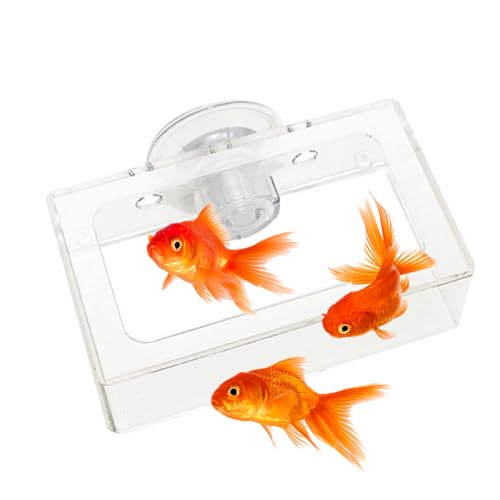 Dmuzsoih Fischfütterungsschale, Fischfuttermittel - Quadratische Fischschüsselbecher mit Saugnapfbecher,Drehen Sie langsame Vorschubplatten, Acryl -Lebensmittelhalter für Aquarium Dmuzsoih Fischfütterungsschale, Fischfuttermittel - Quadratische Fischschüsselbecher mit Saugnapfbecher,Drehen Sie langsame Vorschubplatten, Acryl -Lebensmittelhalter für Aquarium von Dmuzsoih