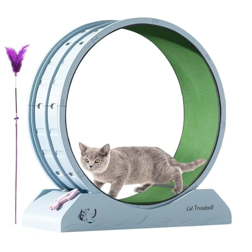 Dmuzsoih Katzenübungsrad, Katzenlaufrad | Ruhige Trainingsausrüstung für Kätzchen,Antifalling-Laufband Lauffitness-Trainingräder mit Teaser für Innenkatzen Dmuzsoih Katzenübungsrad, Katzenlaufrad | Ruhige Trainingsausrüstung für Kätzchen,Antifalling-Laufband Lauffitness-Trainingräder mit Teaser für Innenkatzen von Dmuzsoih