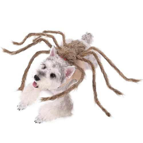 Dmuzsoih Spinnen-Anzüge für Hunde – Pelzige Riesen-Simulationsspinnen-Outfits, verstellbares Halloween-Kostüm für Hunde und Katzen, Verkleidungszubehör Dmuzsoih Spinnen-Anzüge für Hunde – Pelzige Riesen-Simulationsspinnen-Outfits, verstellbares Halloween-Kostüm für Hunde und Katzen, Verkleidungszubehör von Dmuzsoih